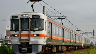 JR東海313系1300番台(B515+B516) 区間快速武豊行き　武豊線尾張森岡〜緒川