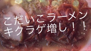 [８月いっぱいで閉店？！]熊本ラーメンこだいこラーメン☆合志市須屋 熊本グルメ ２０１９