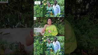 மொட்டை மாடி தோட்டத்தை பராமரிக்கும் முறை | Anitha Pushpavanam Kuppusamy Terrace Garden Vlog