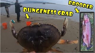 Oregon Dungeness Crabbing and Trout Fishing (BROODER) | Netarts Bay | St. Louis Ponds