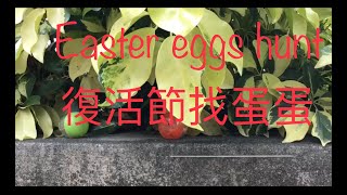 Kid game: Eggs hunting game for Easter 2019......復活節前找蛋遊戲2019