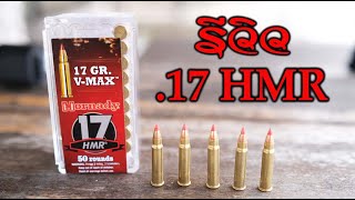 รีวิวกระสุน .17HMR