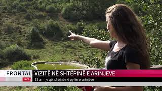 VIZITË NË SHTËPINË E ARINJËVE | T7