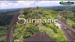 INTRODUCING SURINAME ||ALL ABOUT MY COUNTRY SURINAME