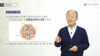 물리학 13주차 10 힉스보존