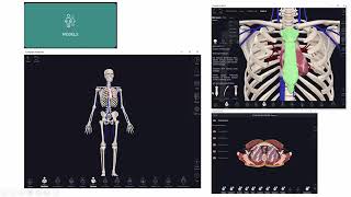 complete anatomy   แนะนำการติดตั้ง และ การสมัคร และการใช้งาน