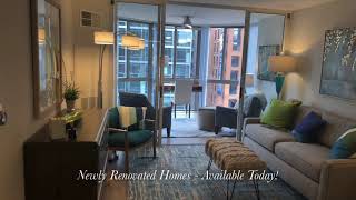 Take a Video Tour of Our Model Apartment the Monroe (1 Bedroom) Floor Plan at Meridian on First