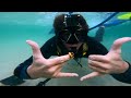 Metal detecting a famous beach - underwater treasure hunting