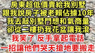 房東超低價賣給我別墅，跟我說房子被老賴佔據10年，我去敲别墅門想和氣商量，卻從三樓扔我花盆讓我滾，我笑了反手拿起電話，一招讓他們哭天搶地要搬走#王姐故事說#為人處世#養老#中年#情感故事#花開富貴