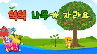 쑥쑥 나무가 자라요🌳│한글공부│📚🌈씽씽단어쏙쏙│단어카드│한글씽씽│일상단어