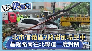 快新聞／北市信義區2路樹倒塌1車慘被砸  基隆路南往北線道一度封閉－民視新聞