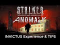 Wavey's STALKER Anomaly Invictus Experience & Tips