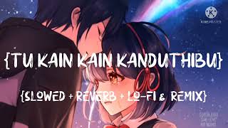 Tu Kain Kain Kanduthibu || New Odia | Slowed + Reverb & Lo-fi Mix | New Odia Sad Romantic Song 😥😥