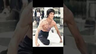 Bruce Lee kung-fu fight