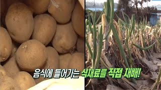 리얼 맛집 24시간의 비밀 ‘직접 재배한 식재료’ @생방송 투데이 1544회 20160105