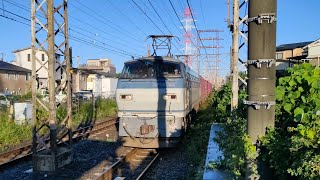 [スーパーライナー] 10月16日小田栄駅 吹田A6運用 66レ EF66 124