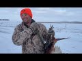 pheasant hunting with my dog for the first time