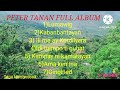 THE BEST COLLECTION SONGS OF PETER TANAN FULL ALBUM.