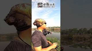 釣海鰱的操作方式 #shorts #fishing #short