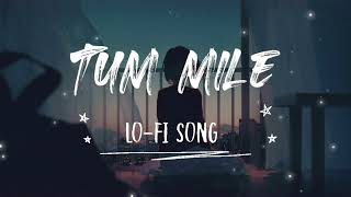 Tum Mile Dil Khile-(Slowed+reverb) Raj Barman Letest Hindi#lofisong