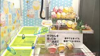 [Fun汀Play] Toreba 全憑運氣的滾球機 角落生物 北極熊 すみっコぐらし Sumikkogurashi - Eskimo Coat Plushy (ballchain) A Get!