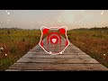 The Cure - Lady Gaga indoedm team (Romy Wave Dry vocal) remix