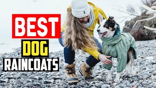 ✅Top 5 Best Dog Raincoats to Keep Your Pet Dry in 2025