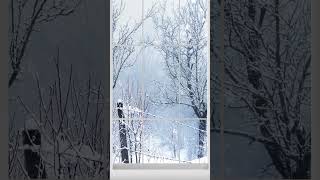 [Video] Winter Landscape Behind Window