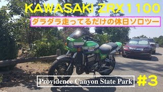 【モトブログ】なんとなくソロツー #3。州立公園に到着しました。カワサキZRX1100。アメリカ　アトランタからのモトブログ【アトランタ】