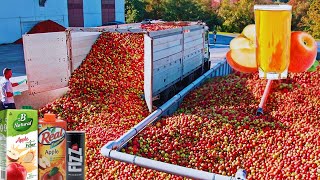 How APPLE JUICE is Made IN FACTORIES | Modern Fruit Juice Making Technology