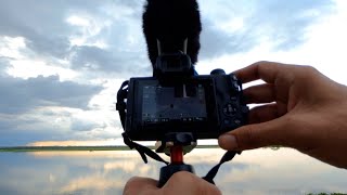 Bird Photography In Bengaluru | Hoskote Lake