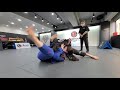 금가은 highlights bjj 주짓수