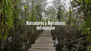 CONOCE A LOS NARRADORES Y NARRADORAS DEL MANGLAR