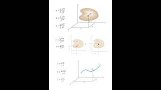 Centroids: All You Need to Know