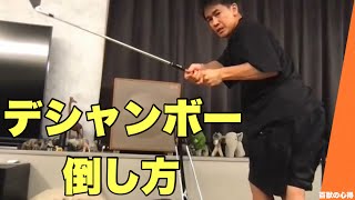 【プロゴルファー】デシャンボーの倒し方👊倒し方シリーズ【武井壮／切り抜き】