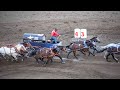 Calgary Stampede Chuckwagon Races and Grandstand Show