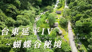 台東延平IV~蝴蝶谷秘境