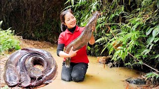 100 Hours Harvesting Catfish \u0026Trap Fish Goes To Market Sell - Indigenous Survival - Hanna Daily Life