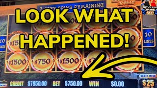 $2,500 BETS WHAT COULD GO WRONG?