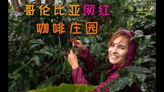 哥伦比亚是咖啡生产大国，杰西卡去哥伦比亚咖啡种植核心地带的一个网红咖啡庄园，看咖啡是怎样炼成的