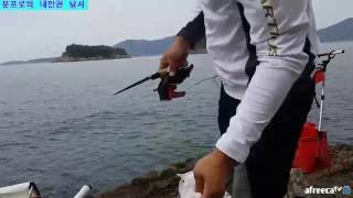 성질급한 고등어 바로사망 피빼는방법 (#시메 신경시메 #고기손질법)가을바다낚시 Mackerel blood subtracting.