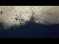 Danny Mulhern - In the Hands of Strangers ( R.O.A.D.S LP)