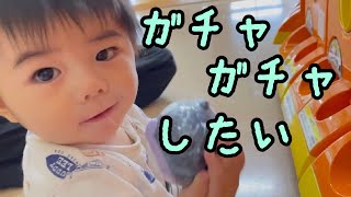 『今日のらいくん#45』初めてのガチャガチャ！アンパンマンが欲しい/ 生後8ヶ月