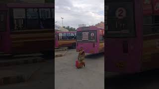 Nambiyur Bus stand avanashi road #trending #busstand #nambiyur