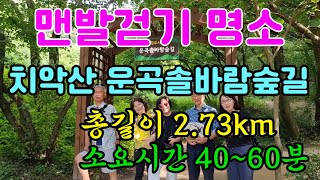 [ 맨발걷기 명소 ] 치악산 '운곡솔바람숲길' 맨발걷기 너무 좋아!💗쿠팡 상품 구입은 아래 '더보기'에서💗❤️