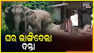 ୨୦ ଦିନରେ ଭାଙ୍ଗିଲାଣି ୮ ଘର, ବାରମ୍ବାର ବିଦ୍ୟୁତ କାଟ ପାଇଁ ହାତୀପଲ ଗାଁରେ ପଶି ଧନ ଜୀବନ ନଷ୍ଟ କରୁଥିବା ଅଭିଯୋଗ ।