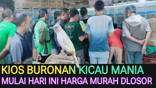 KIOS BURONAN KICAU MANIA HARI INI HARGA BURUNG MURAH NDLOSOR DI PASAR BURUNG PRAMUKA HARI INI