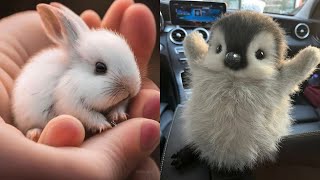 Cute Baby Animals s Compilation | Funny and Cute Moment of the Animals #27 - Cut