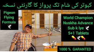 Kabootar ki SHAM Tak PARWAZ ka NUSKHA | WORLD CHAMPION NUSKHA ADVANCE 5+1 TABLETS 1000% GARANTED