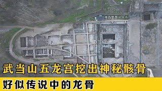 武当山道教遗址大型骸骨，疑似传说中的龙骨，揭秘武当山历史一面